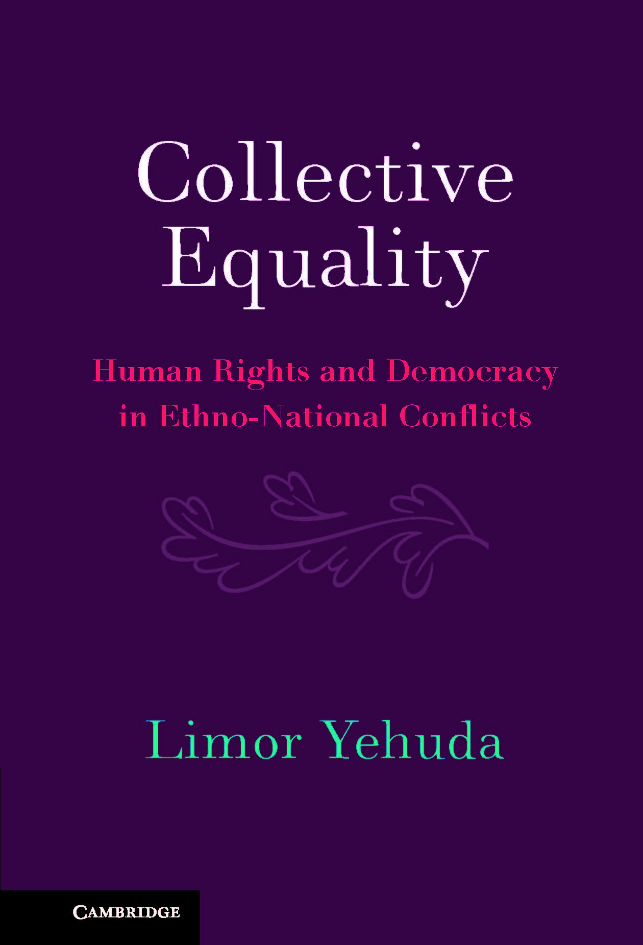 Read more about the article Collective Equality: Human Rights and Democracy in Ethno-National Conflicts