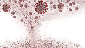 Read more about the article Cascading Crises: Intersections of the Coronavirus Pandemic and Political Turmoil