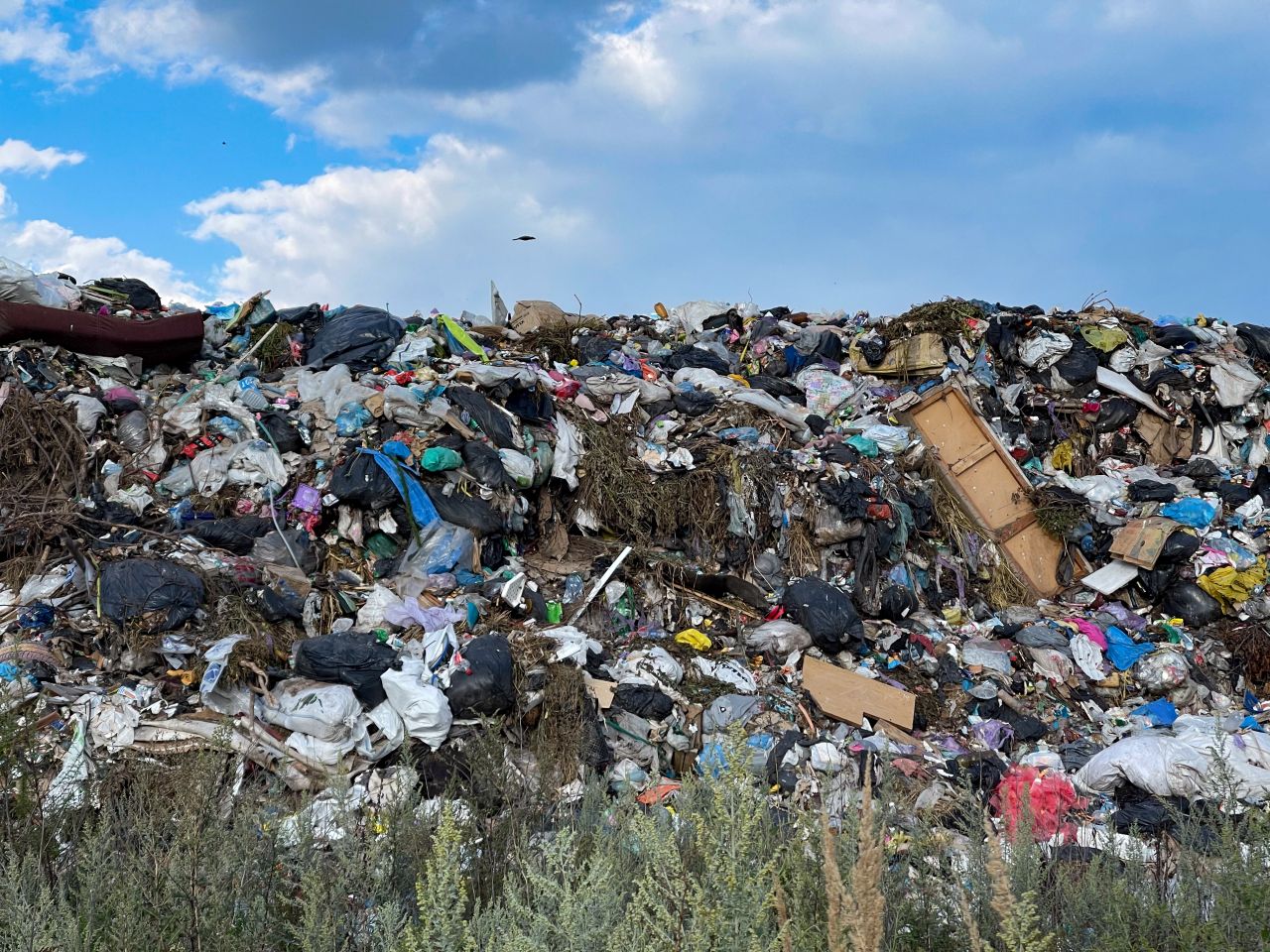 Read more about the article A State in Waste: Profits, Protection, and Patronage in the Galilee